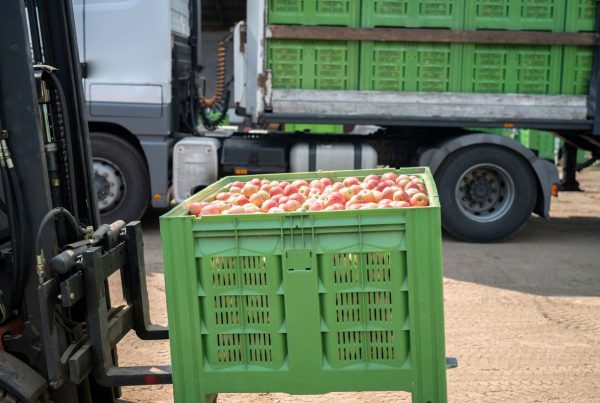 equipamento adequado para carregamento de alimentos