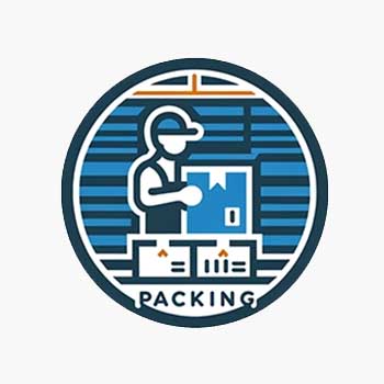 dall·e 2024 02 19 12.59.33 create an icon that represents the warehouse process of 'packing' in a style consistent with the previously created icons. the icon should depict a wo